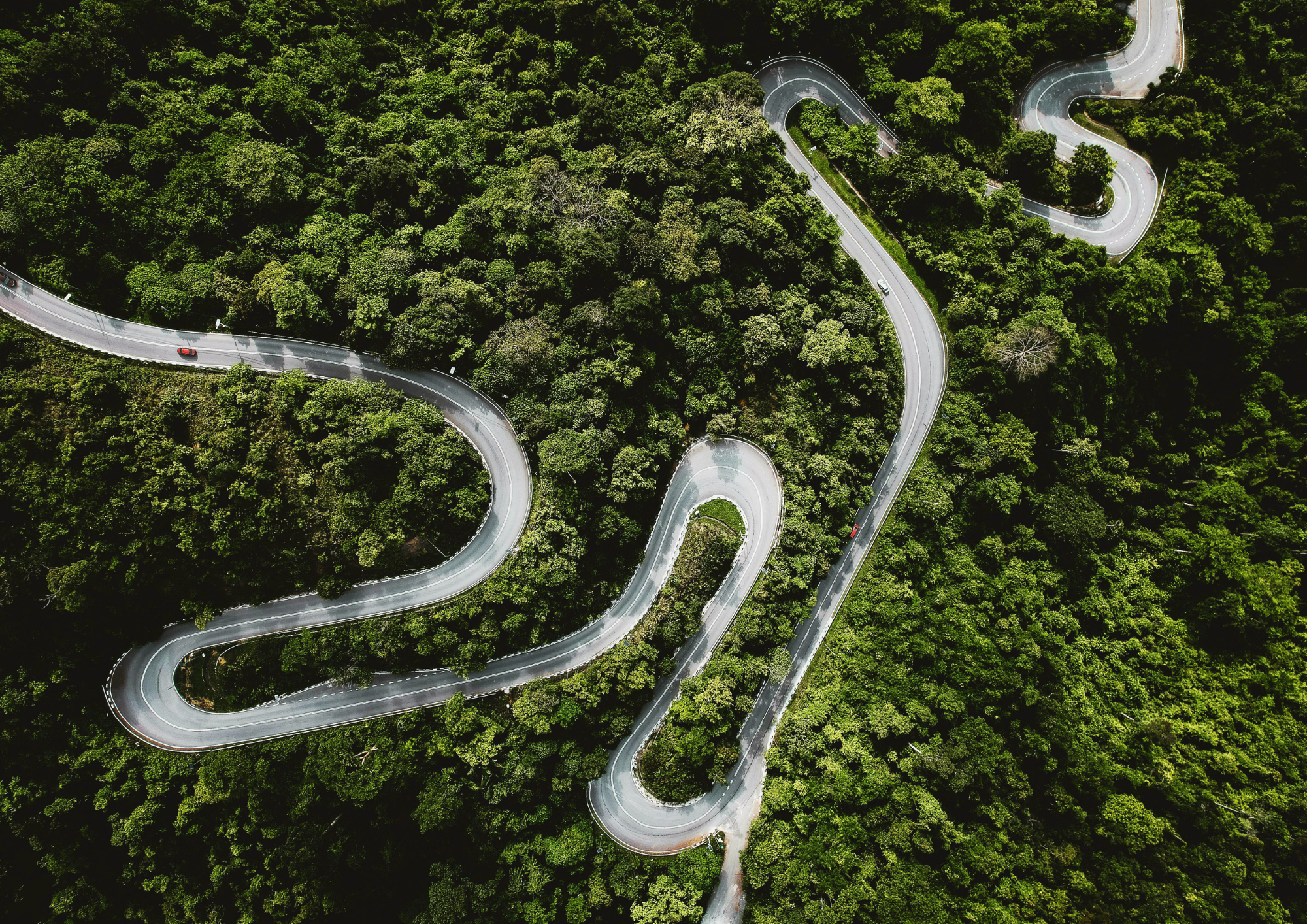 Succession Roadmap for Boards
